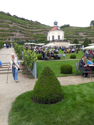 Chorsingen zum Federweißerfest im Schloss Wackerbarth